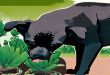 Are Jade Plants Leaves Poisonous To Dog.jpg